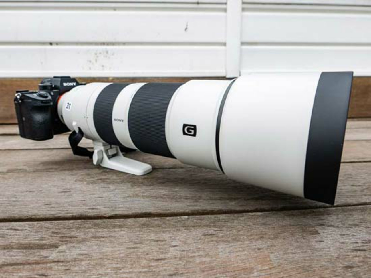 Sony fe 200-600mm f5.6-6.3 g oss
