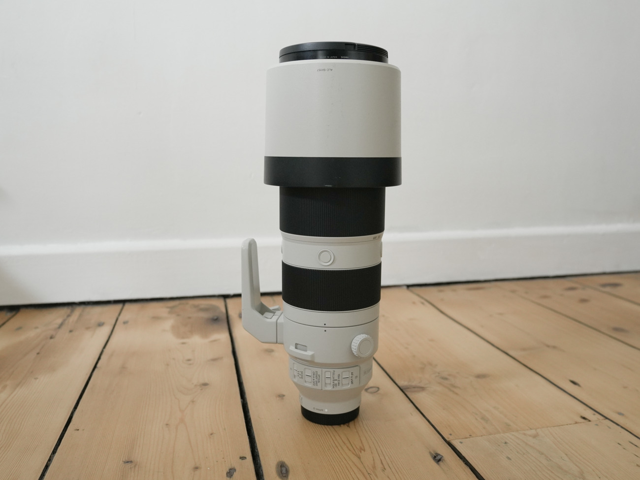 Sony fe 200-600mm f/5.6-6.3 g oss