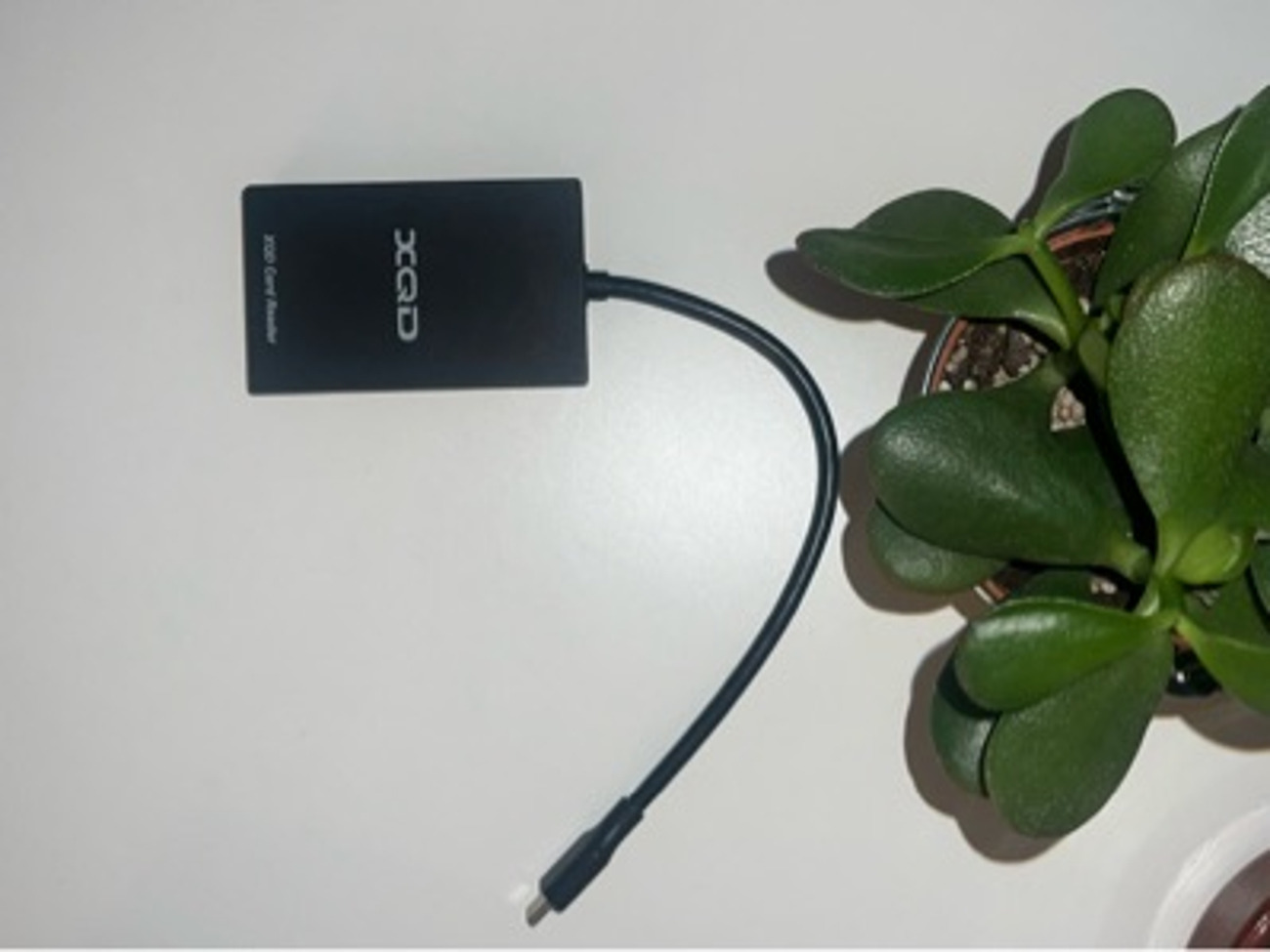 Sony xqd and sd card reader 
