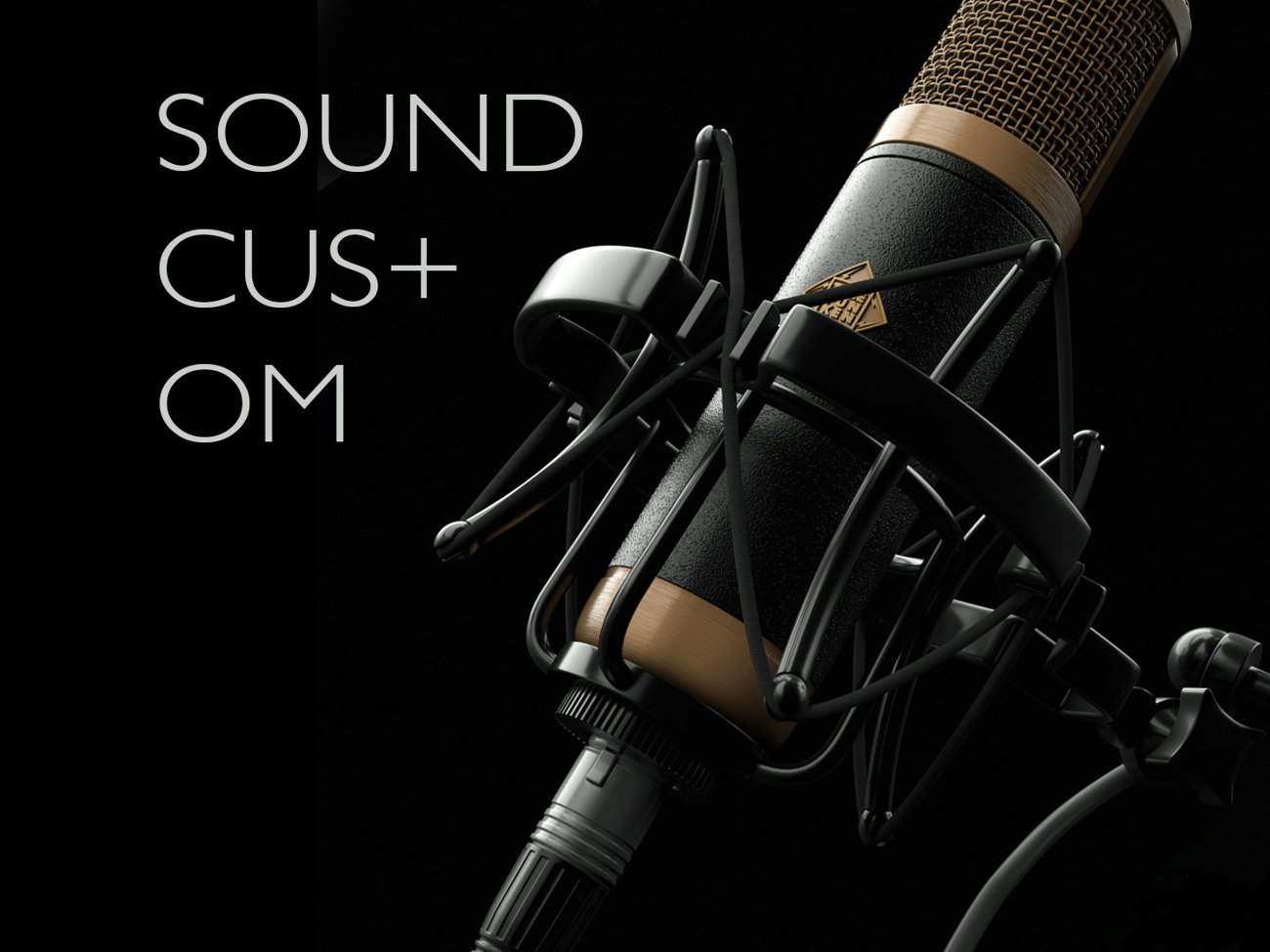 Sound kit, rode, sennheiser, lav mics, shotgun mics