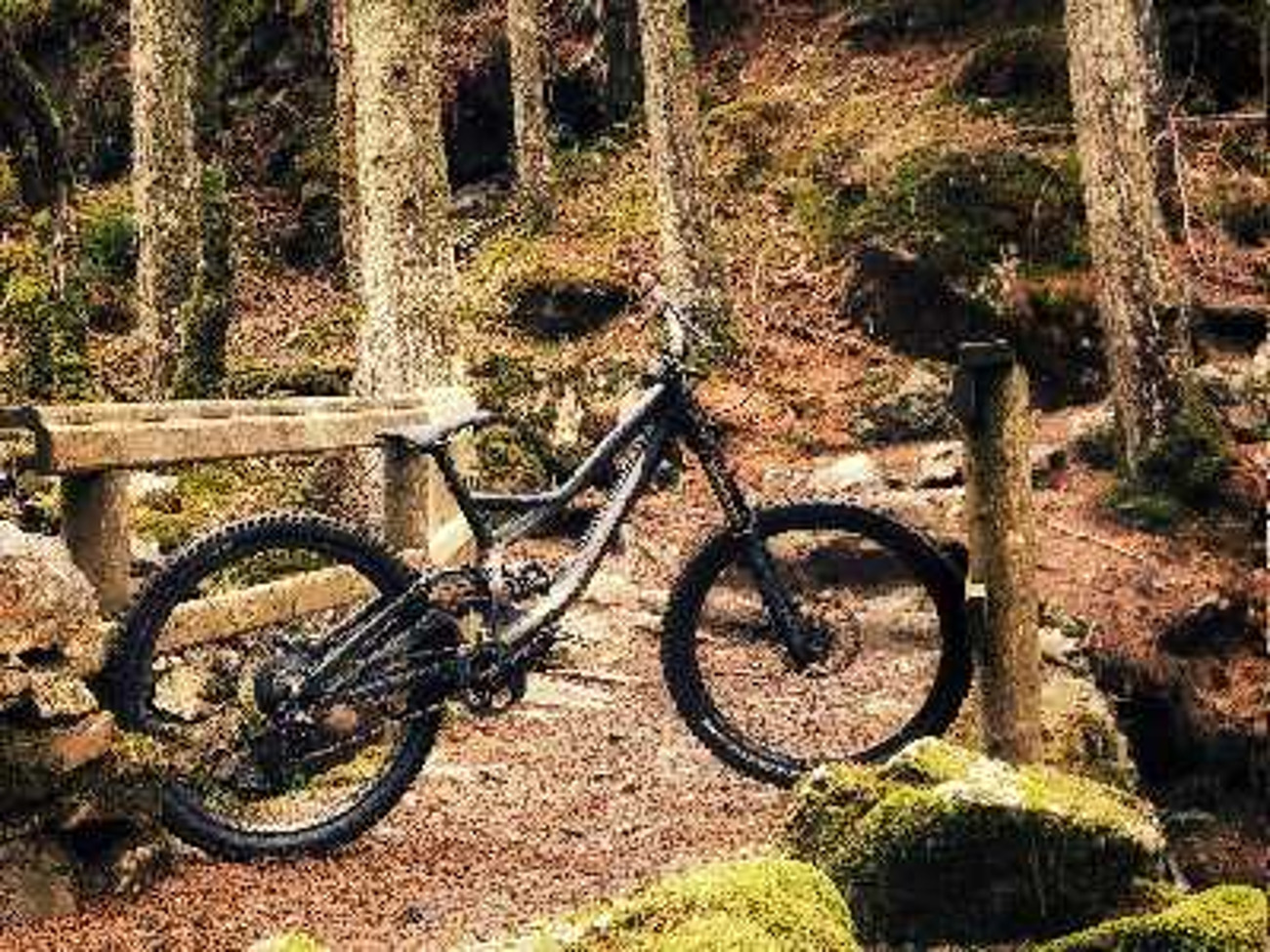 Rent Specialized Demo 8 Downhill Bike from James T Dwyrain Bangor Gwynedd for 12.50 30 day