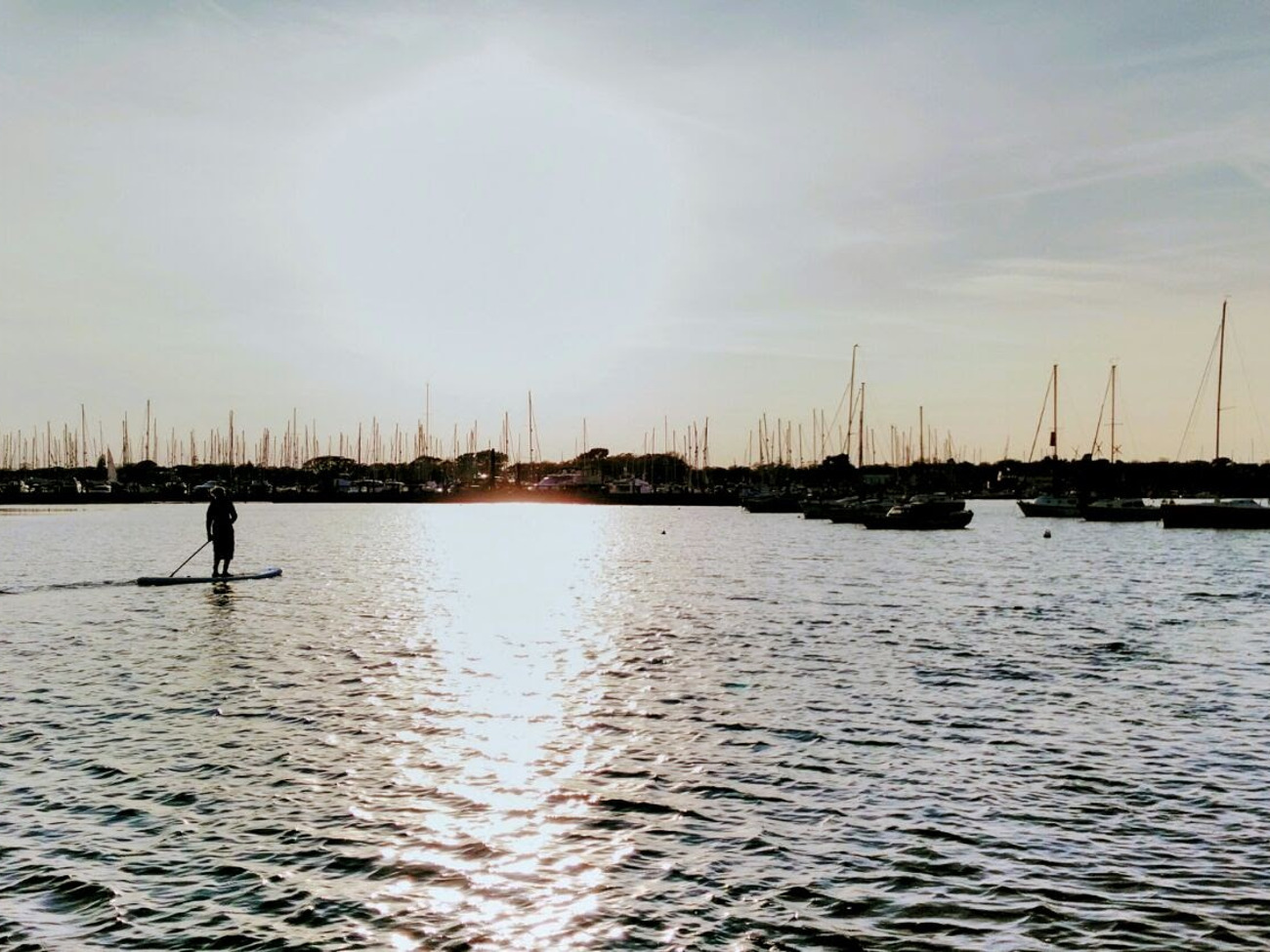 Stand up paddle boards (paddleboard, sup)