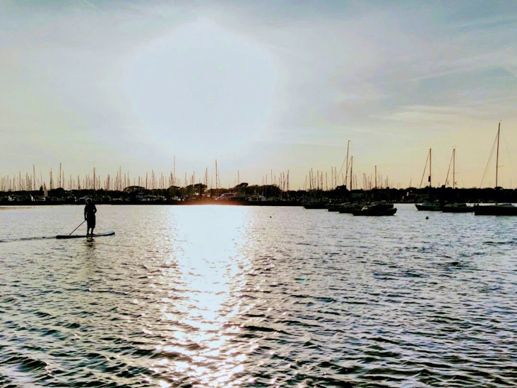 Stand up paddle boards (paddleboard, sup)