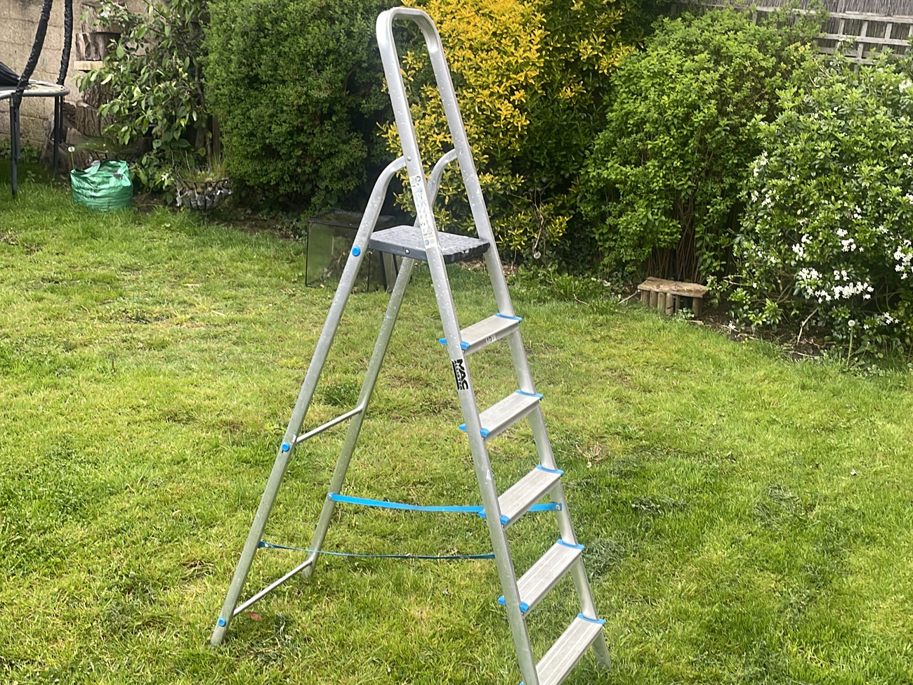 Step ladder