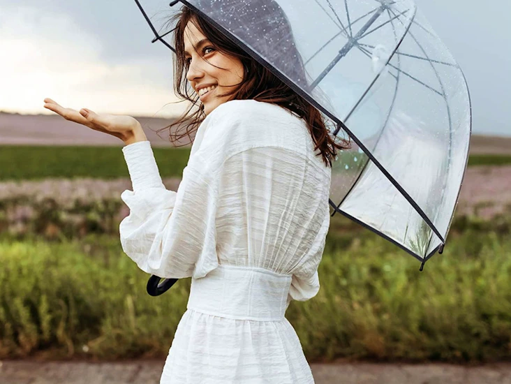 Transparent umbrellas with black handles