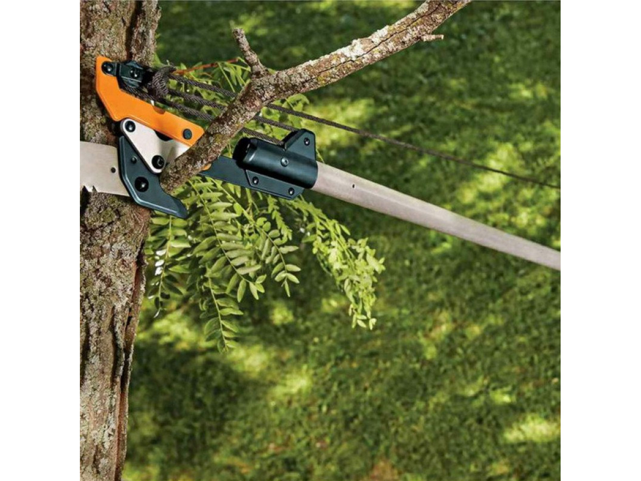 Fiskars tree pruner online