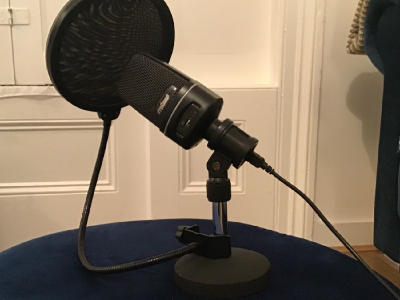 Usb microphone & pop filter