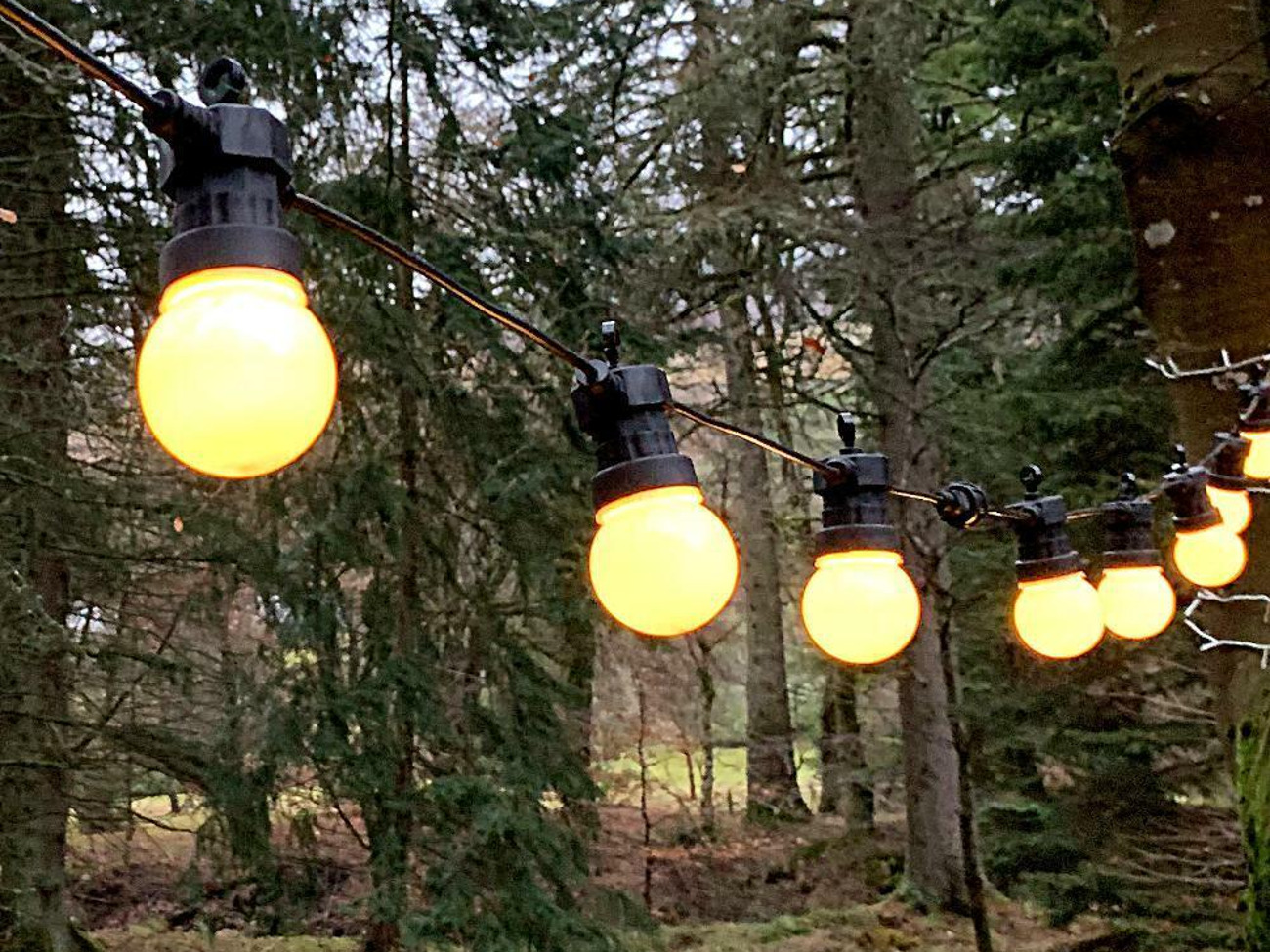 Warm white led festoon lights - up to 60m