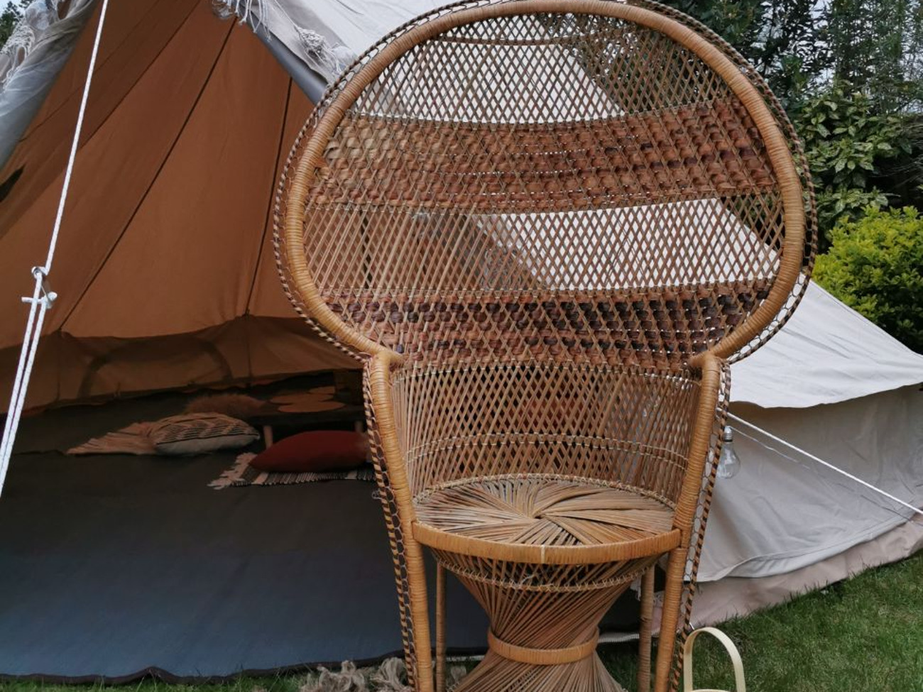 Wicker peacock chair