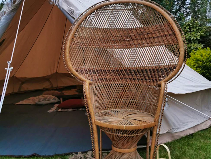 Wicker peacock chair