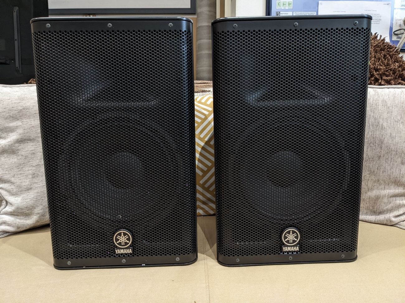 X2 yamaha dxr10 speakers/monitor