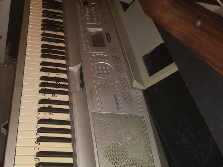 Yamaha portable grand dgx-500