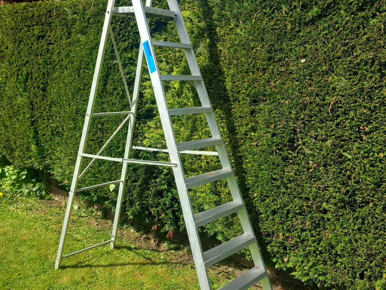 Youngman heavy duty 10 tread step ladder