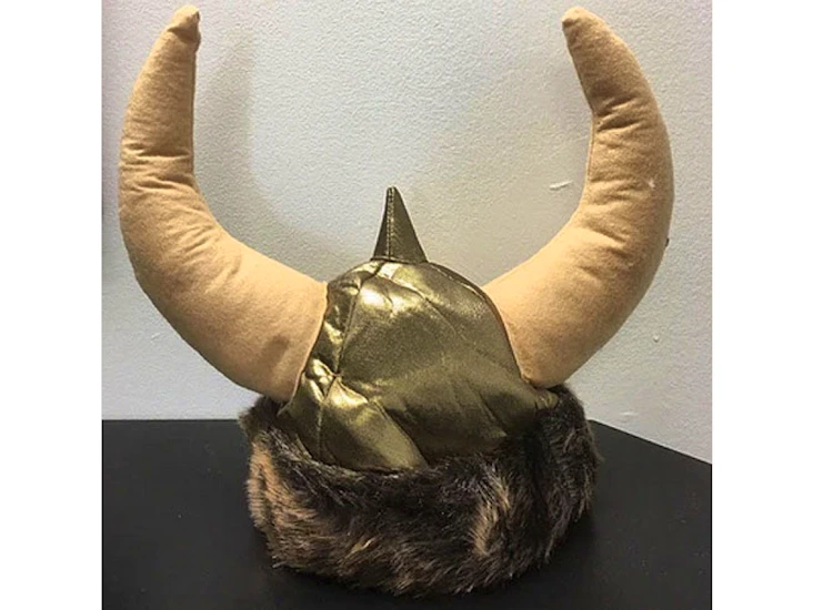 Z98 viking hat