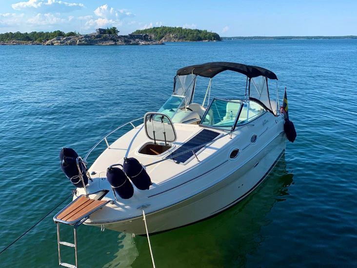 Sea ray 255 sundancer