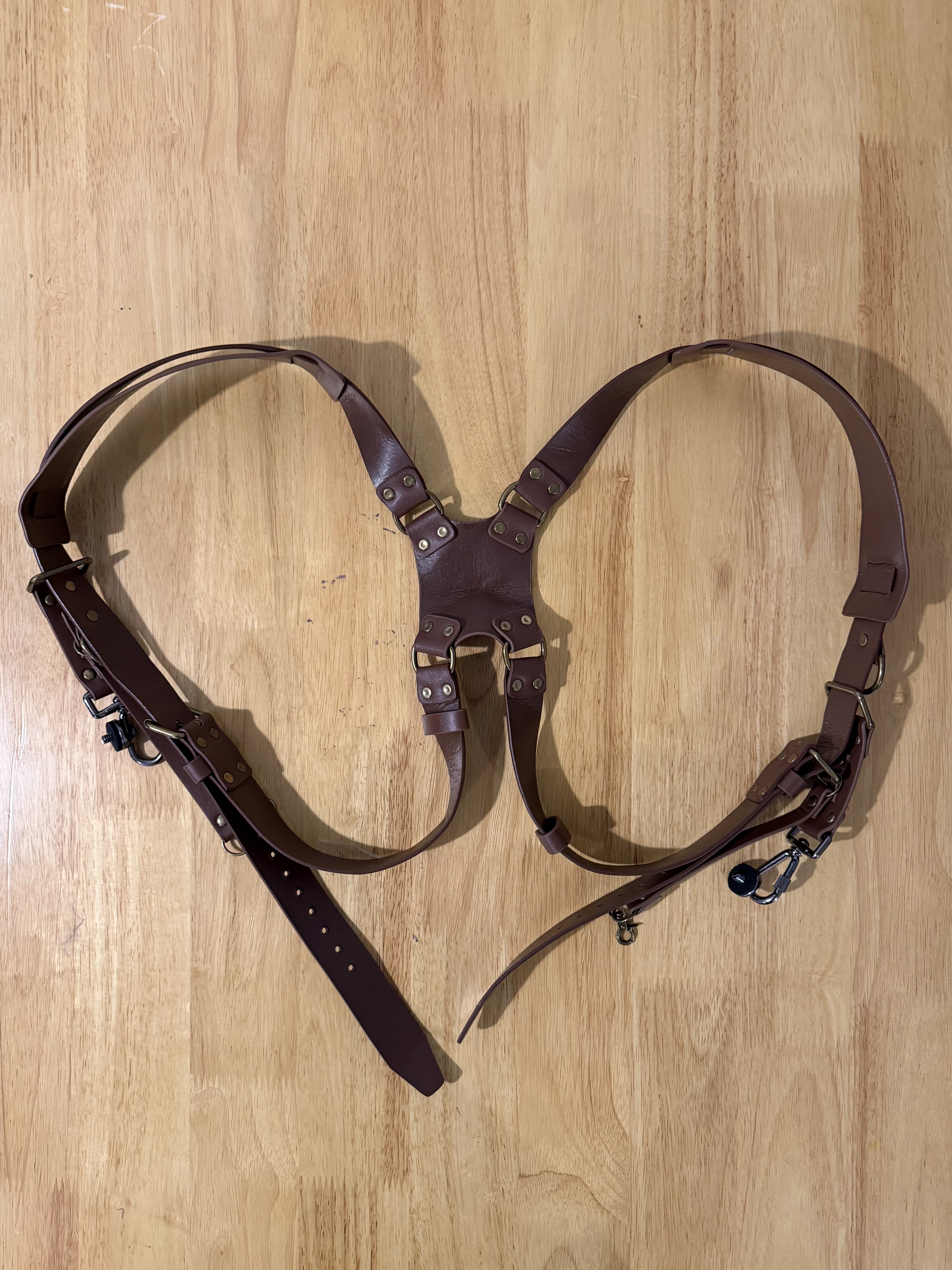Brown dual camera harness