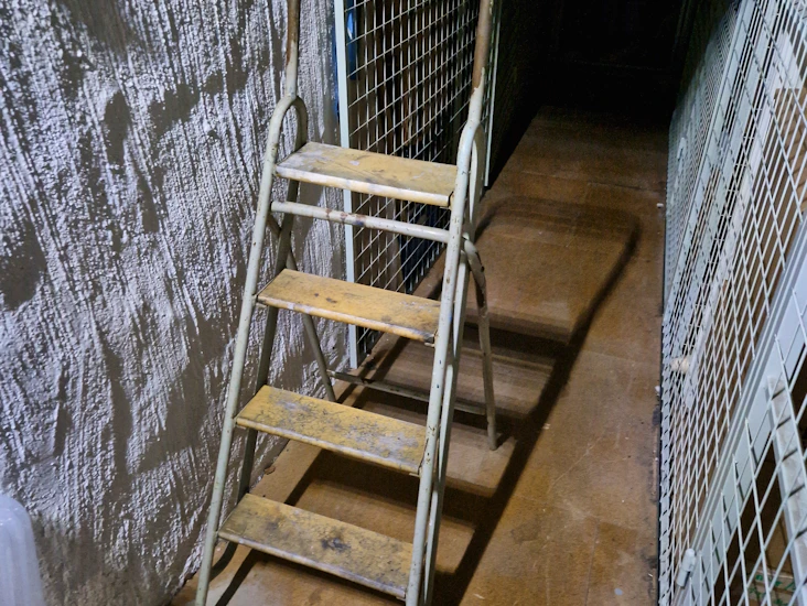 Stege (4-steg & ihopfällbar)