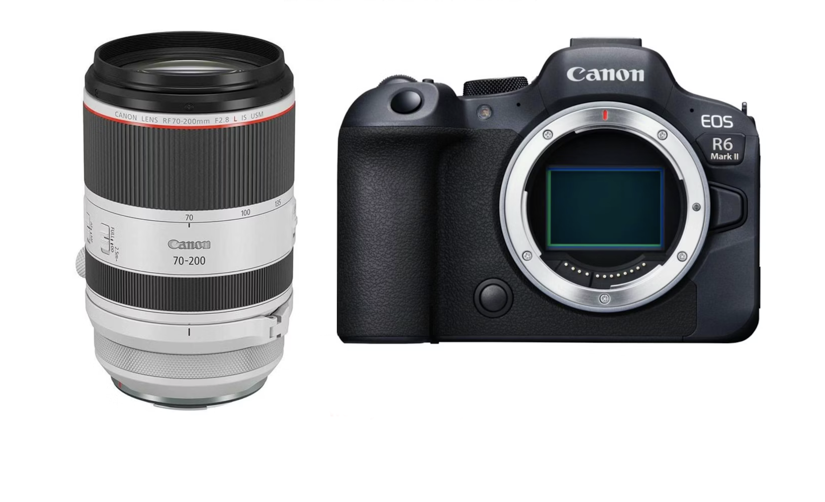 Canon r6 mark ii & canon rf 70-200mm f/2.8l is usm lens