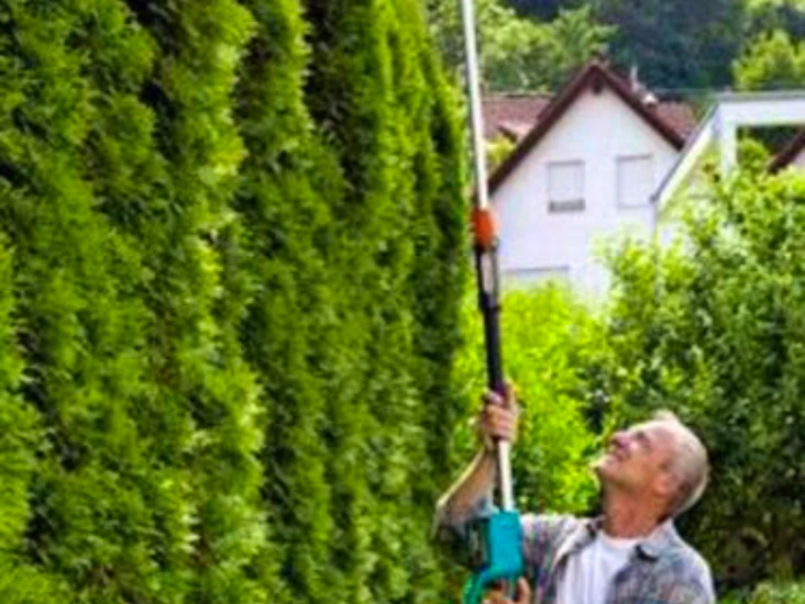 Teleskopisk häcksax