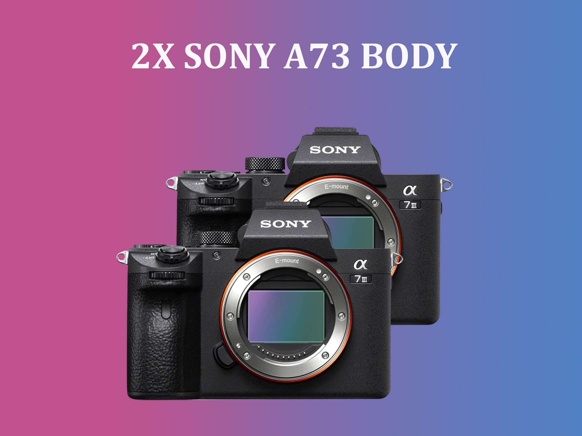 2x sony a73 body | sony a7iii | sony a7 iii | sony alpha a7 