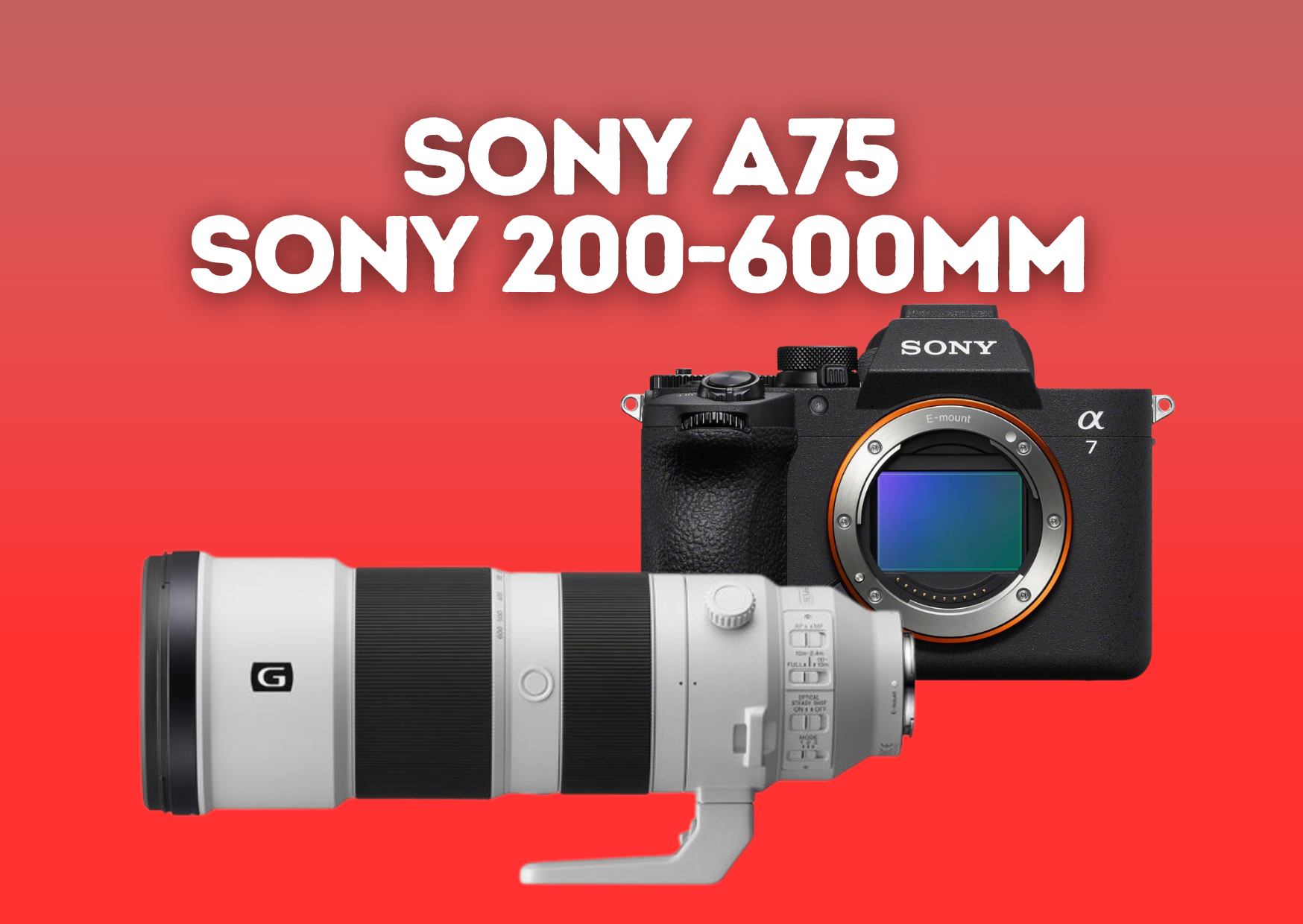 Sony a75 + sony 200-600mm f/5.6-6.3 g oss e-mount 