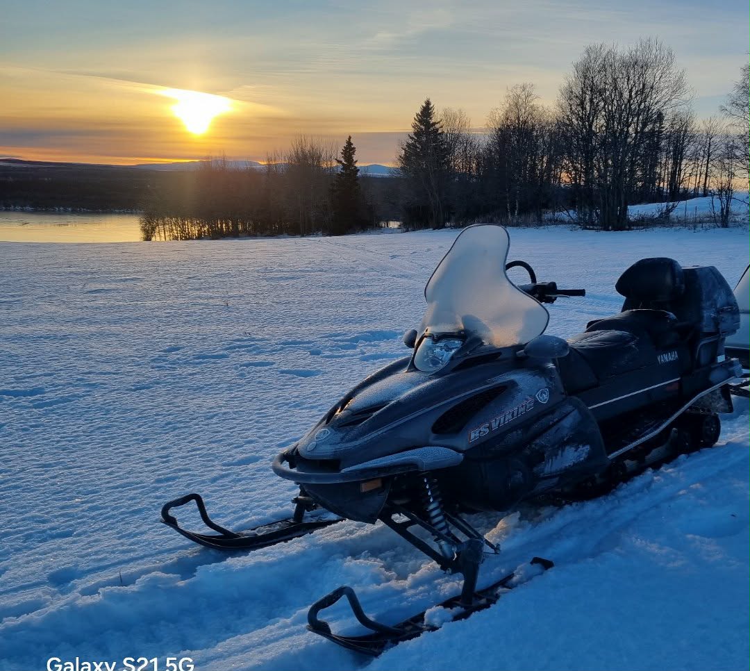 Familjeskoter/pulkdragare