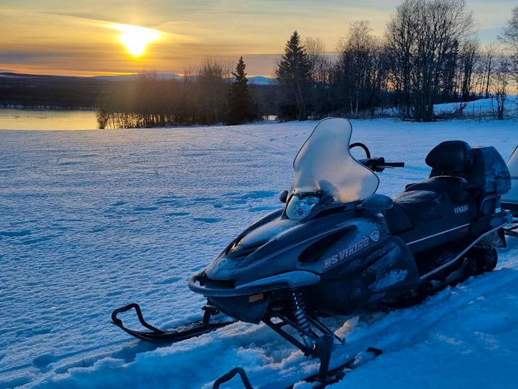 Familjeskoter/pulkdragare