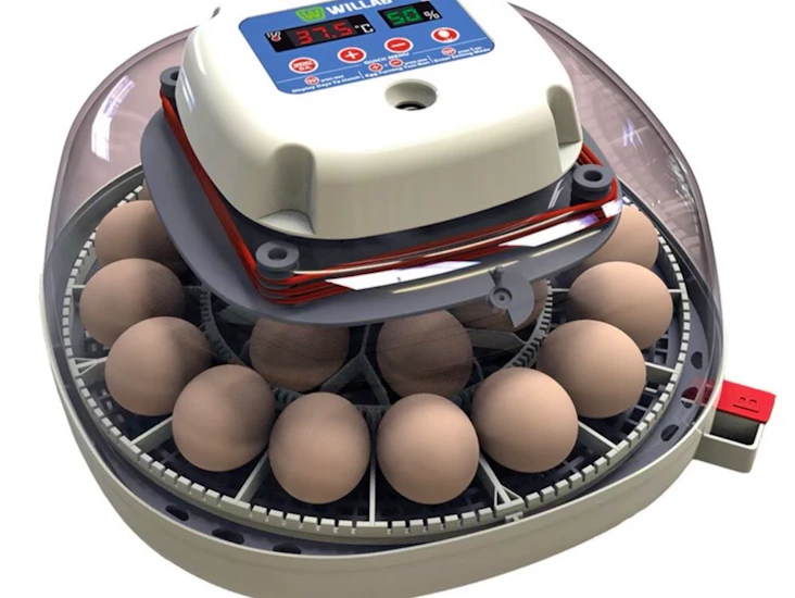 Äggkläckningsmaskin för fjäderfä