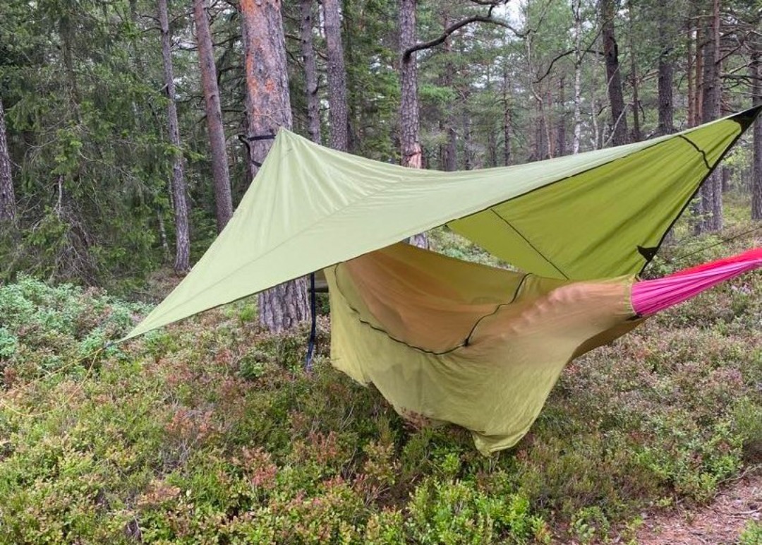 2 stk ticket to the moon