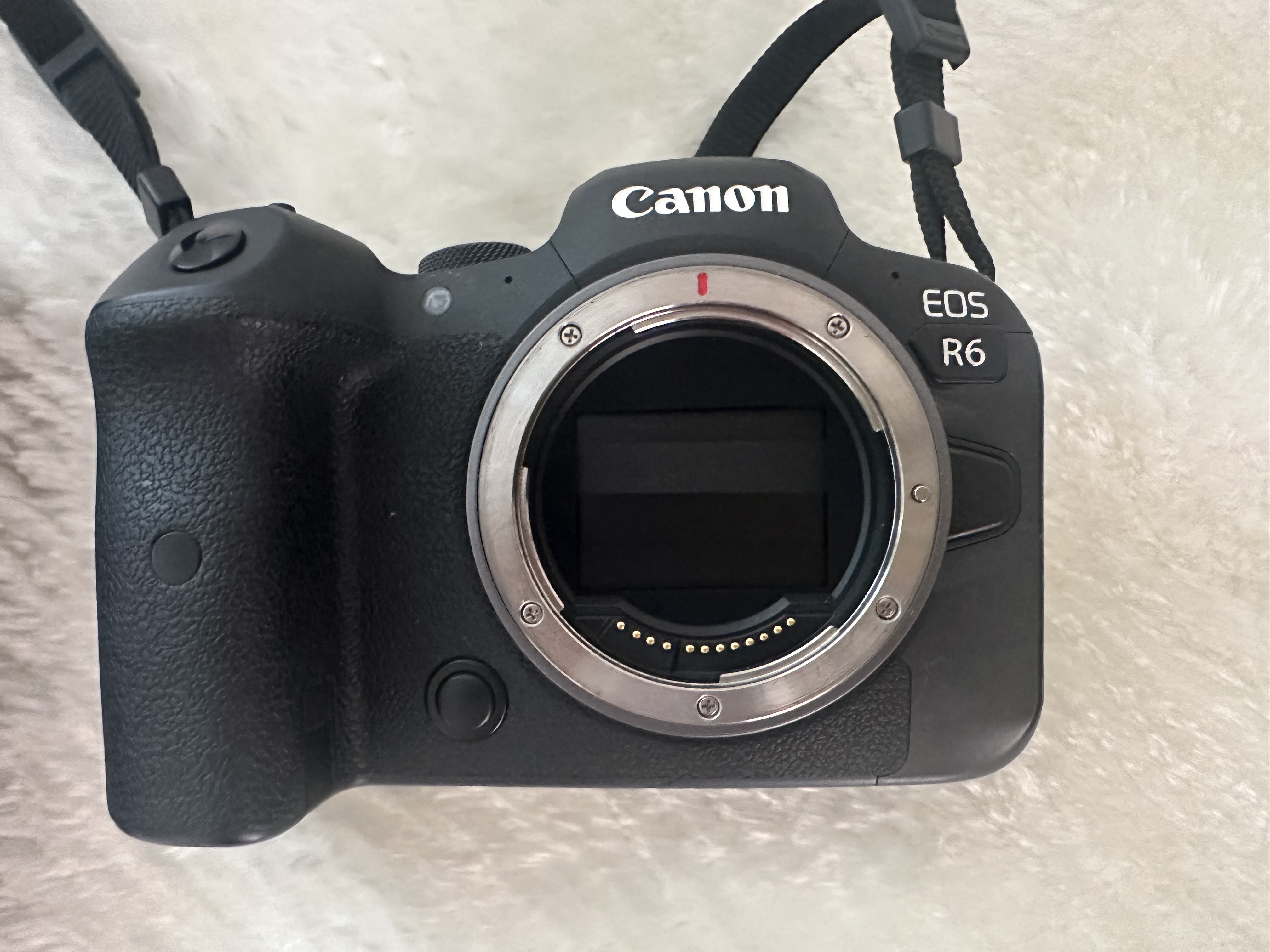 Canon r6 med rf till ef adapter - proffskamera för foto & film