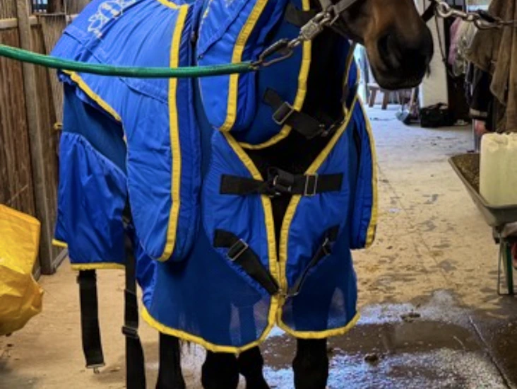 Hhp - täcke till häst