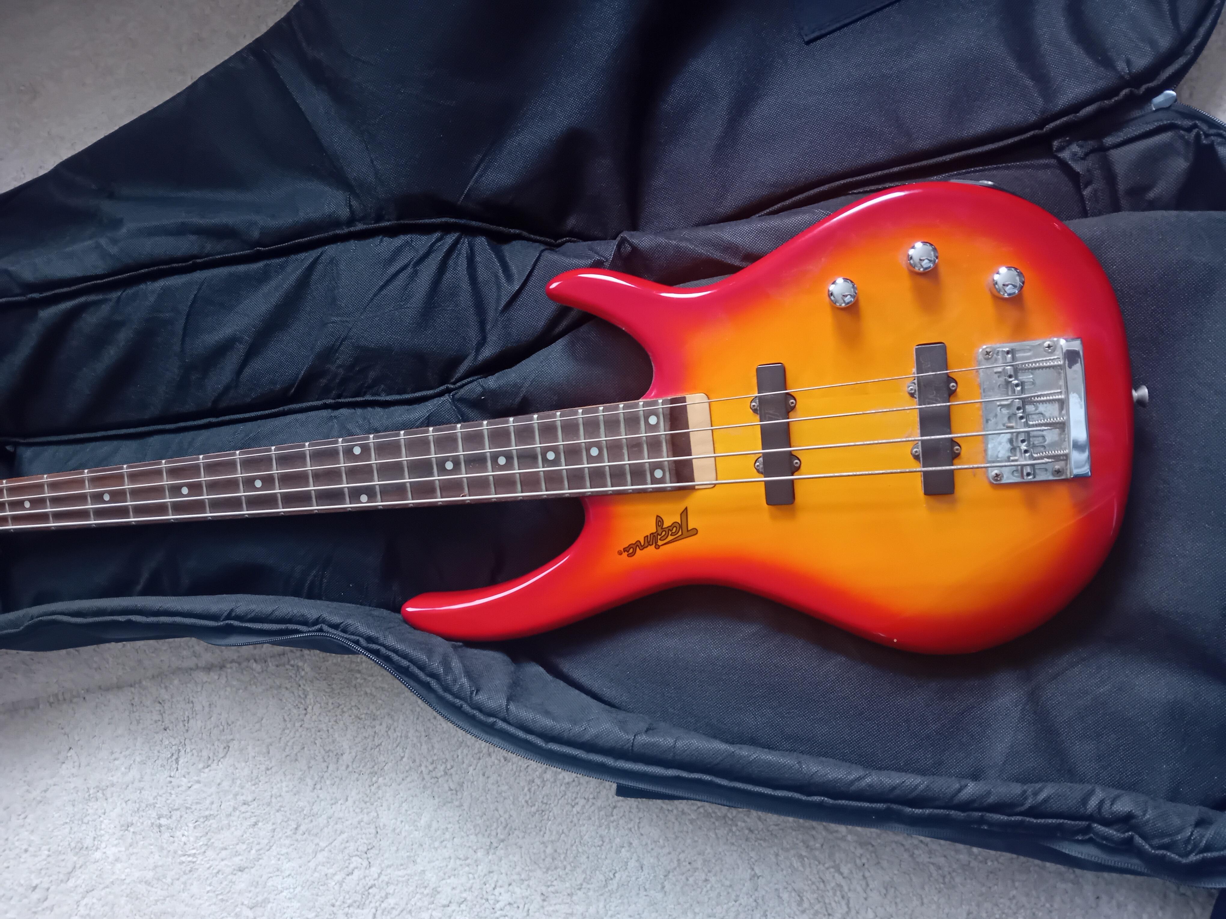 Electric bass guitar