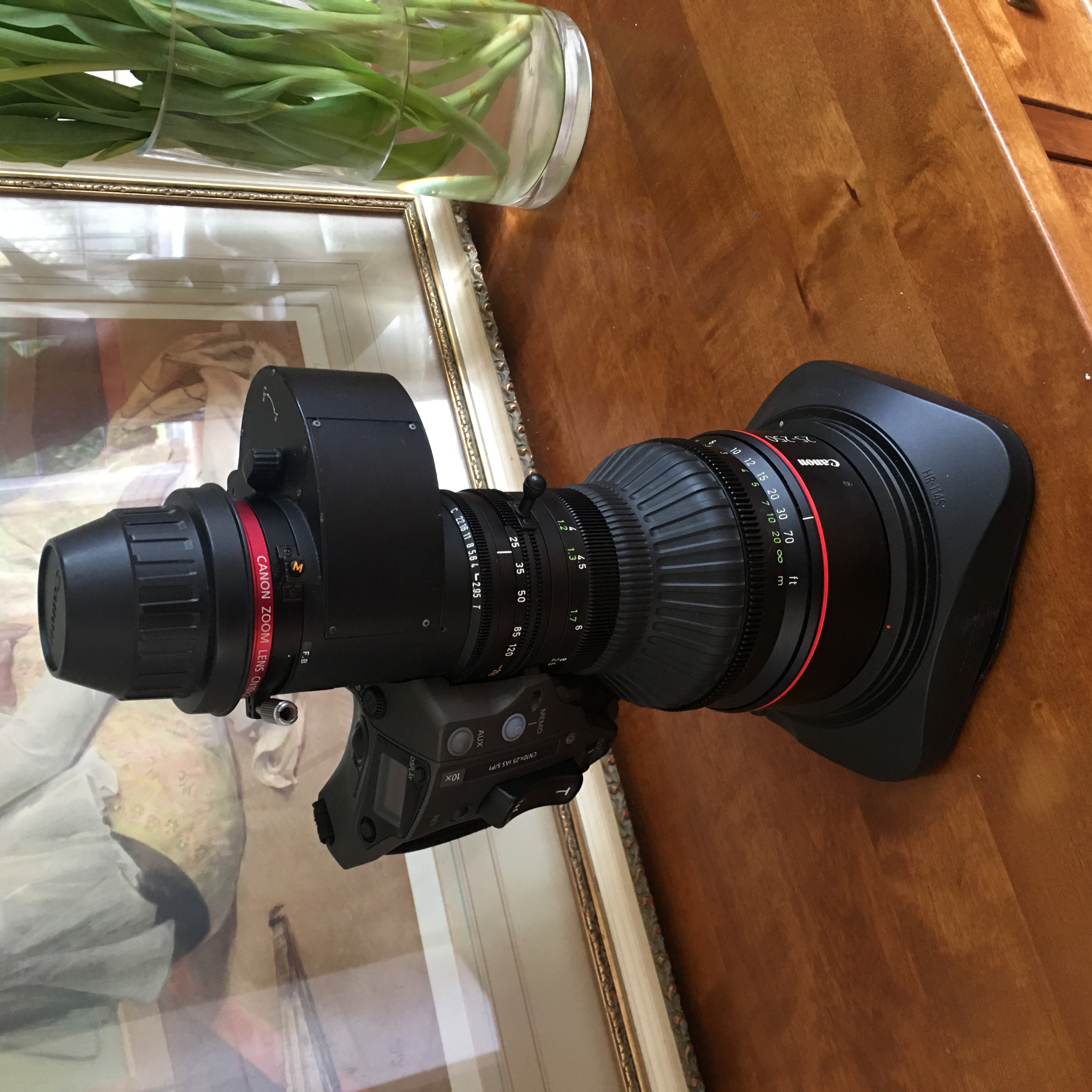 Canon cine-servo cn10 25-250mm t2.95-3.95 - pl mount zoom lens