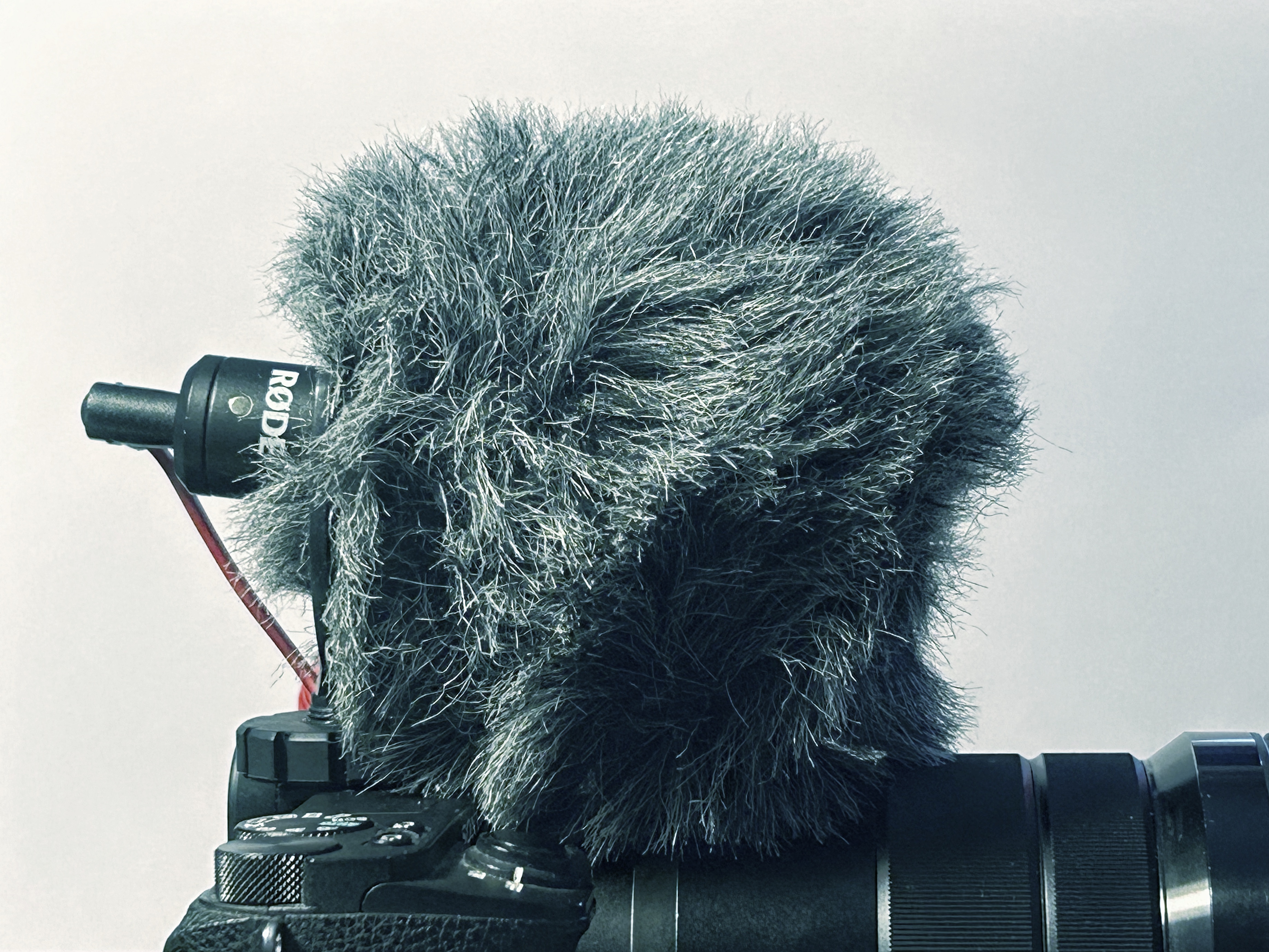 Rode videomicro