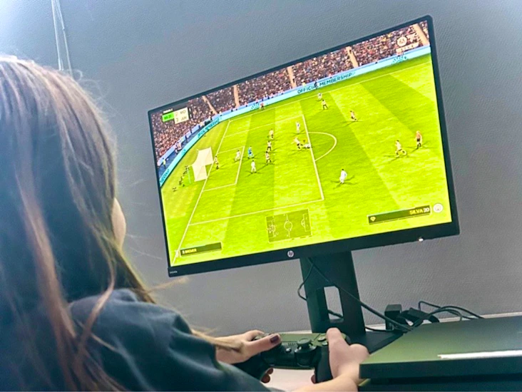 24" skärm med ljud och hdmi