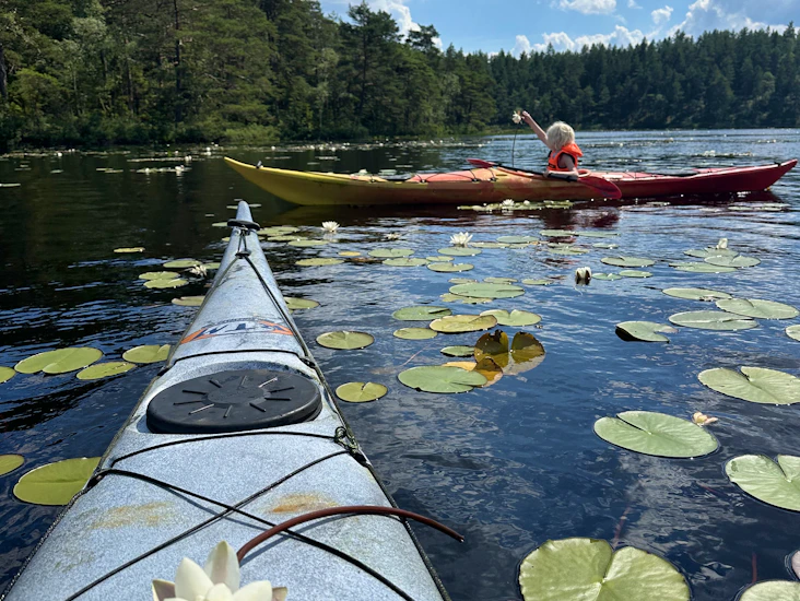 Kajak - rotomod ysak (finns 7 st)