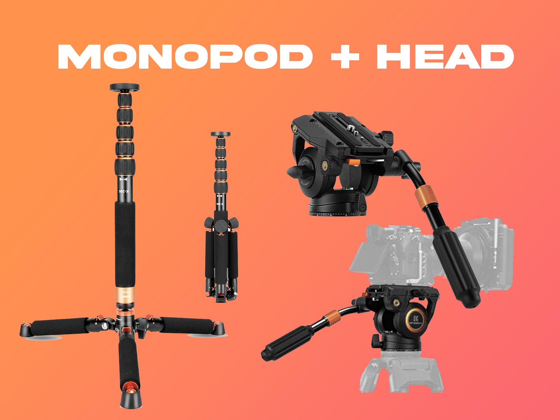 Monopod + fluid head