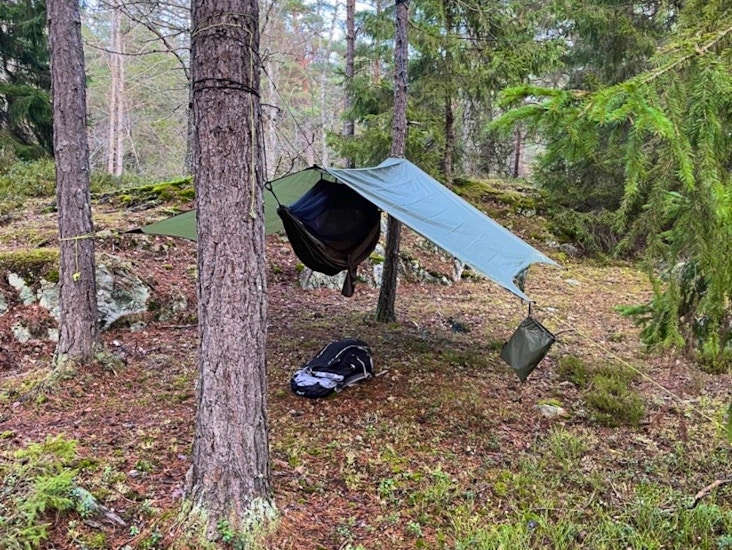 Tarp och hängmatta