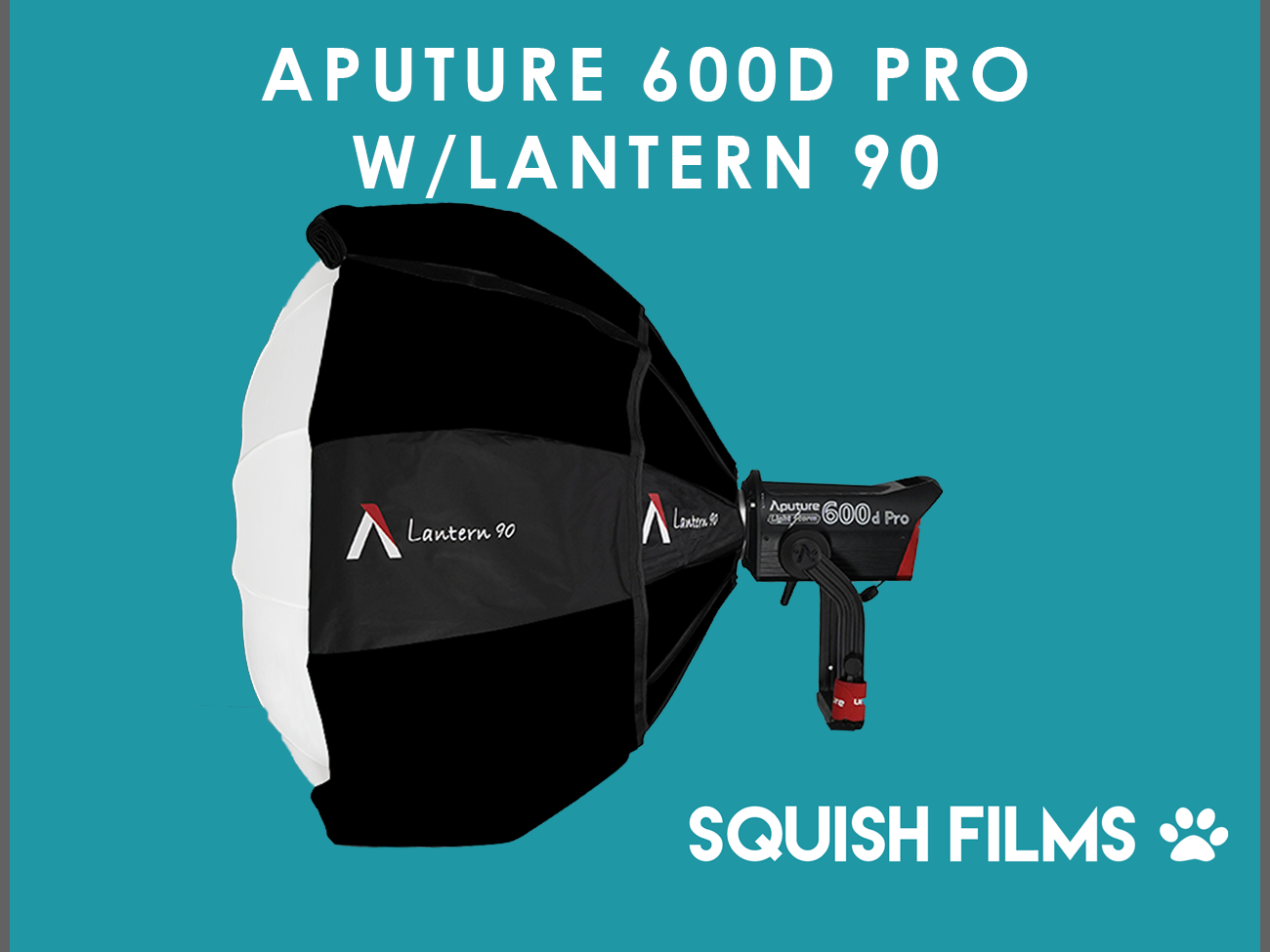 Aputure 600d pro+ lantern 90