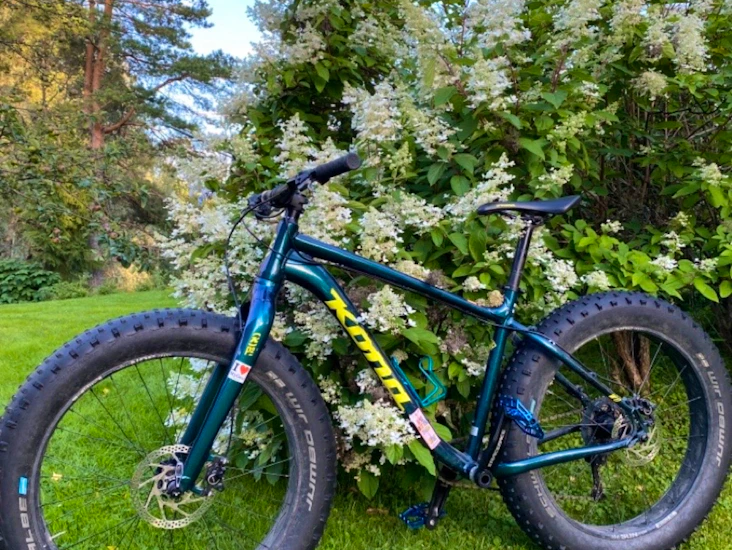 Fatbike l koko