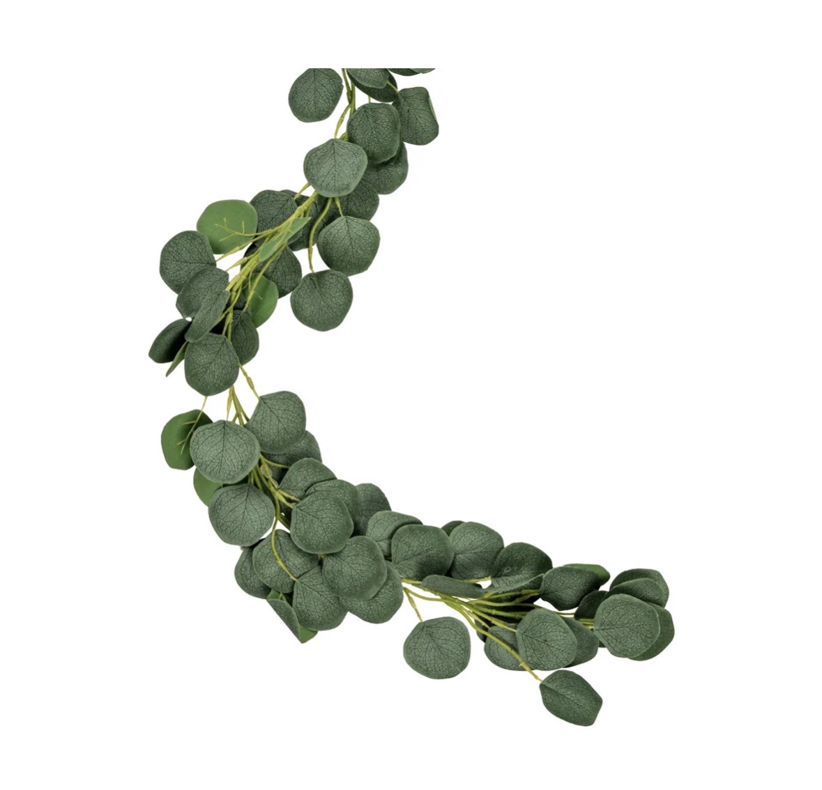 Eukalyptus girlander
