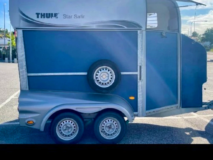 Välvårdad star safir 1400 kg