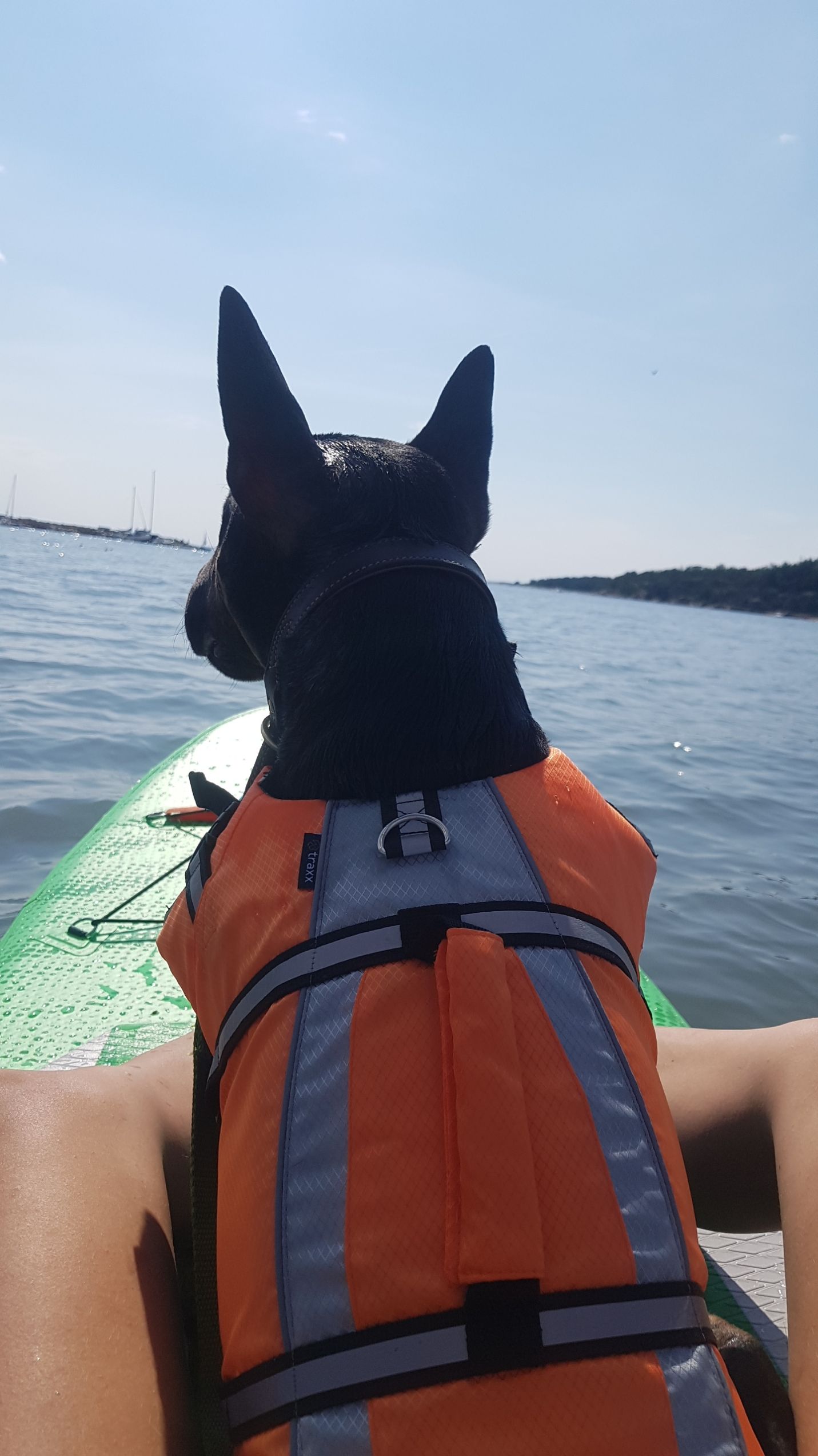 Breeze sup leies ut. (ta med hunden🐕)