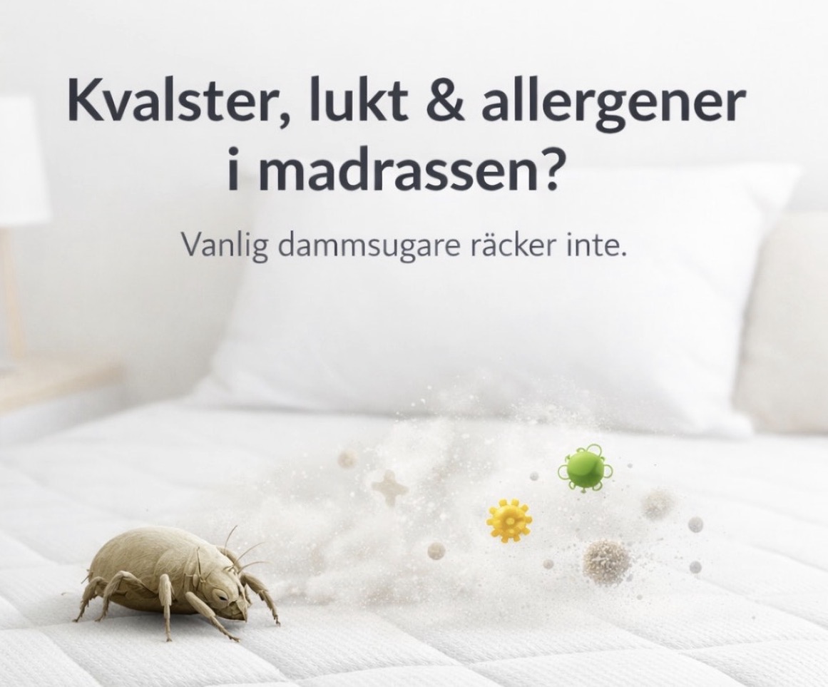 Djuprengör madrass & soffa – tar bort kvalster, lukt & allergener 
