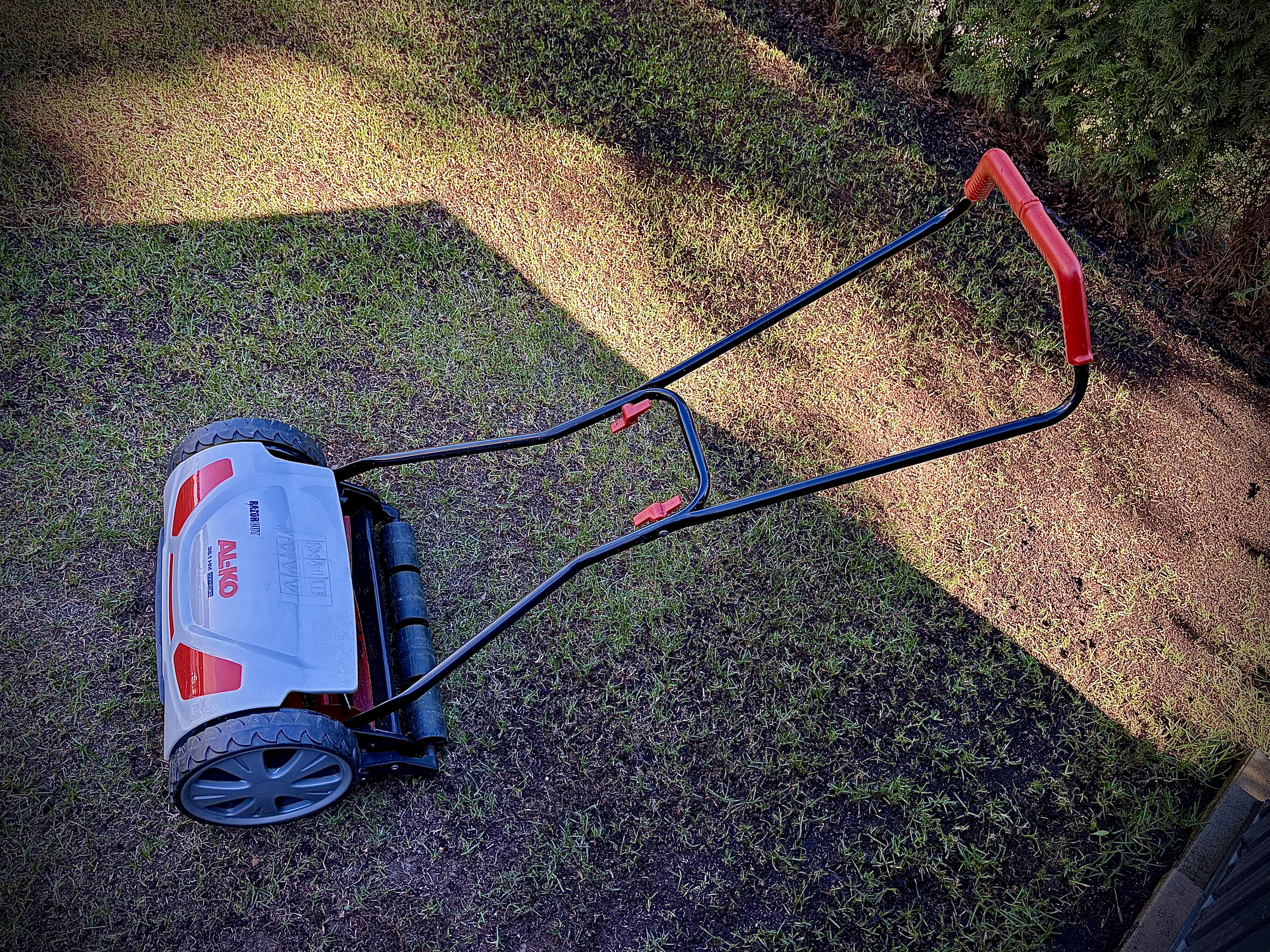 Handgräsklippare - klipper riktigt lågt inför renovering!