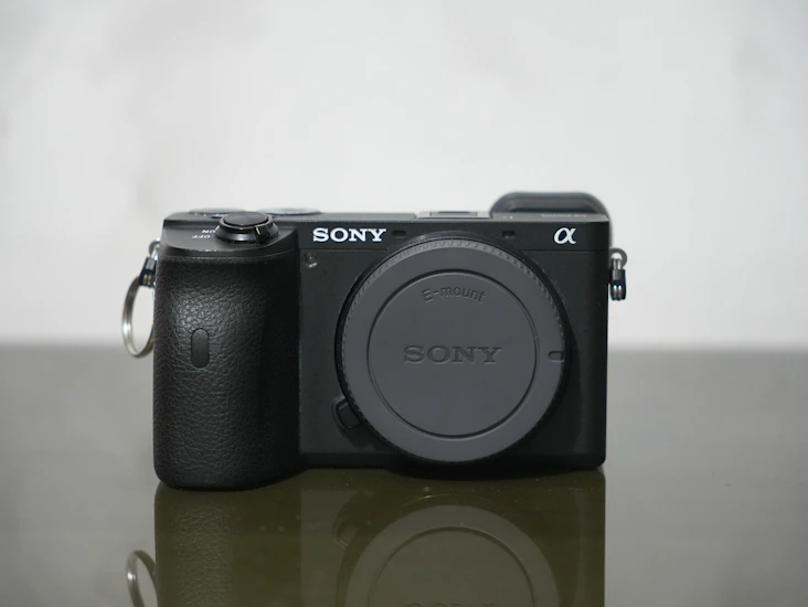 Sony a6600