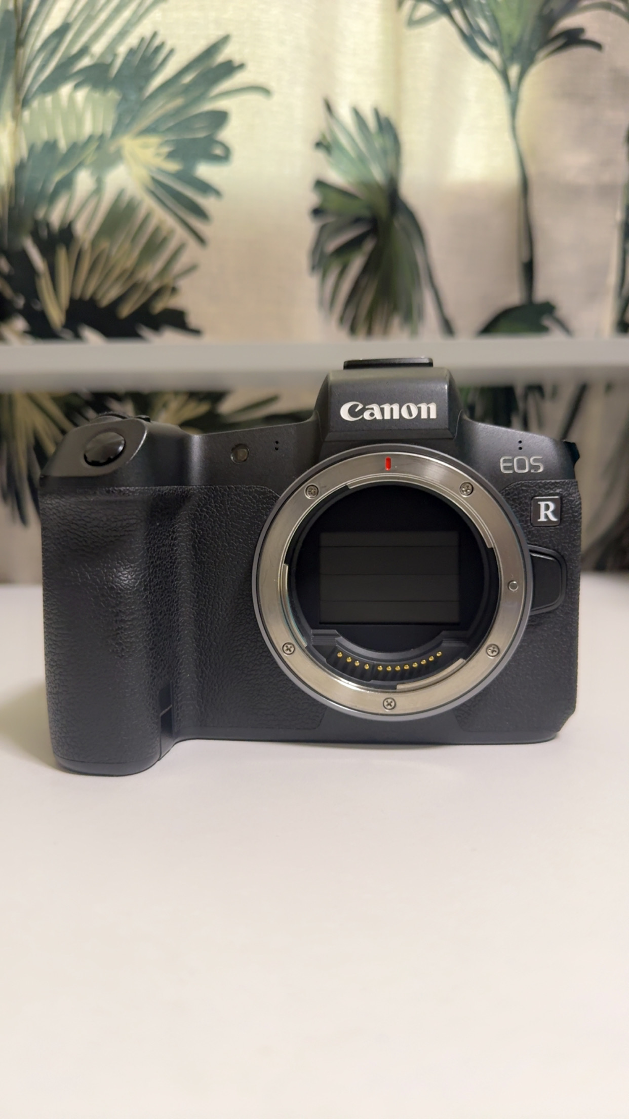 Canon eos r camera (4k video, full frame)