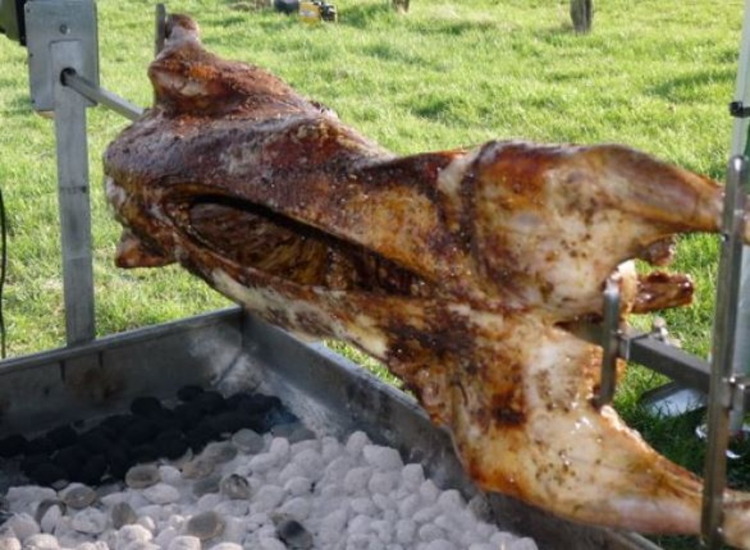 Grill för helt djur