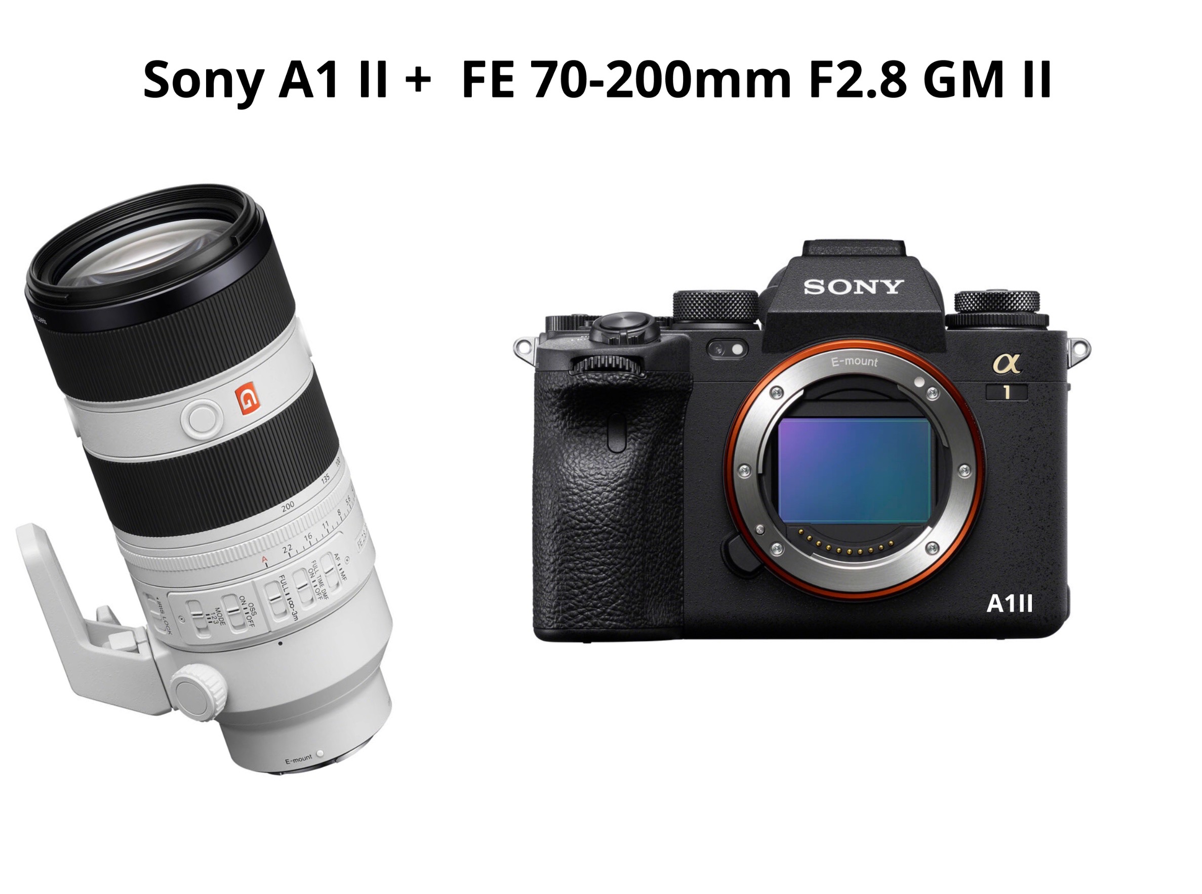 Sony a1 ii + fe 70-200mm f2.8 gm ii 