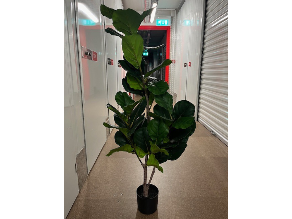 Artificial fiddle leaf fig tree 130cm x 5